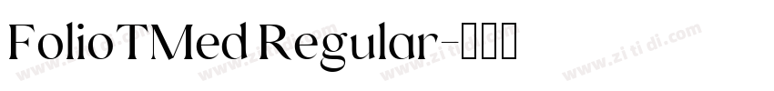 FolioTMed Regular字体转换 FolioTMed Regular字体转换